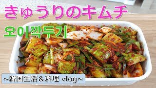 【本格的きゅうりのキムチ】韓国生活&料理vlog,오이깍두기,spicy cucumber kimchi