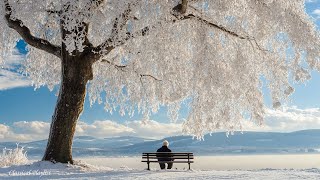 Прекрасная зимняя романтика. Классическая музыка сделает зиму теплее - Моцарт, Бетховен, Шопен