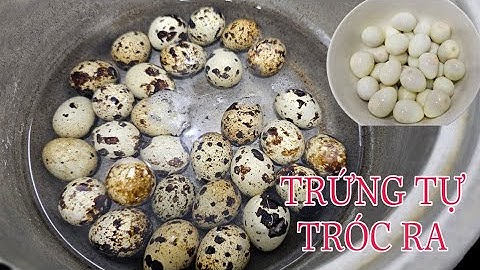 CÁCH LUỘC TRỨNG CÚC NÓ SẼ TỰ TRÓC VỎ RA KHÔNG TỐN NHIỀU THỜI GIAN BÓC VỎ