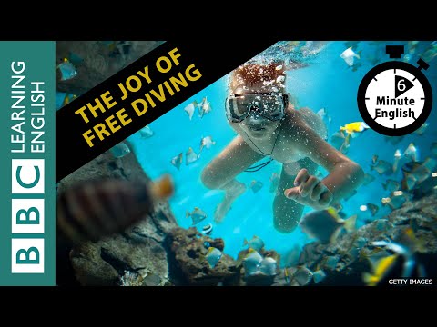 Video: Diving Deep Into The Joy Of Living - Living Matador Rangkaian