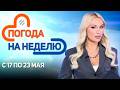 ГРОЗЫ И ДОЖДИ Погода в Беларуси с 17 по 23 мая Плюс минус 