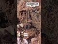 AK 47 #trending #motivation #viralvideo #funnyreels #viral #reels #ytshort #youtubeshort#viralshort