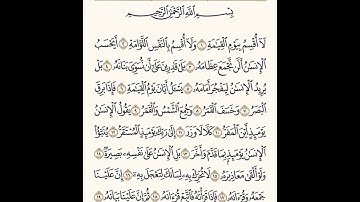 لا اقسم بيوم القيامة (سورة القيامة) #قران_كريم
