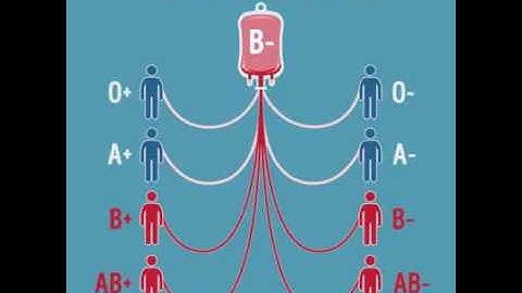 Importance of blood groups