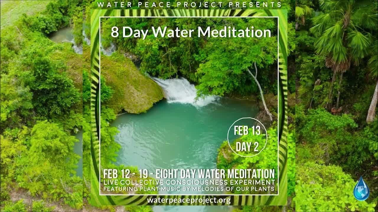 FEB 13 Day 2 of 8 Day Water Meditation & Consciousness Experiment Featuring Plant Music -2026