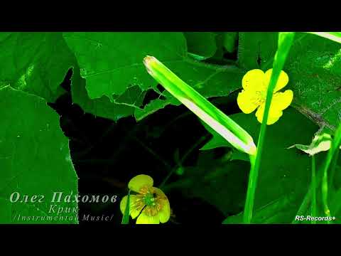 Олег Пахомов Крик /Instrumental Music/ 2022