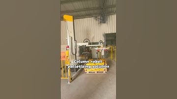 Column robot palletizing solution.#machine #robotics  #factory  #automation #technology