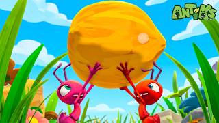 Tough Nut To Crack | Antiks 🐜 | Action Cartoons For Kids
