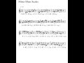 Bengts intervallic Minor blues scales