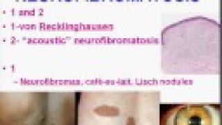 Medical School Pathology, Chapter 5d