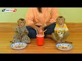 Cuties Monkey Luna And Kako Eating French Fries With Sauce Very Delicious