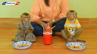 Cuties Monkey Luna And Kako Eating French Fries With Sauce Very Delicious
