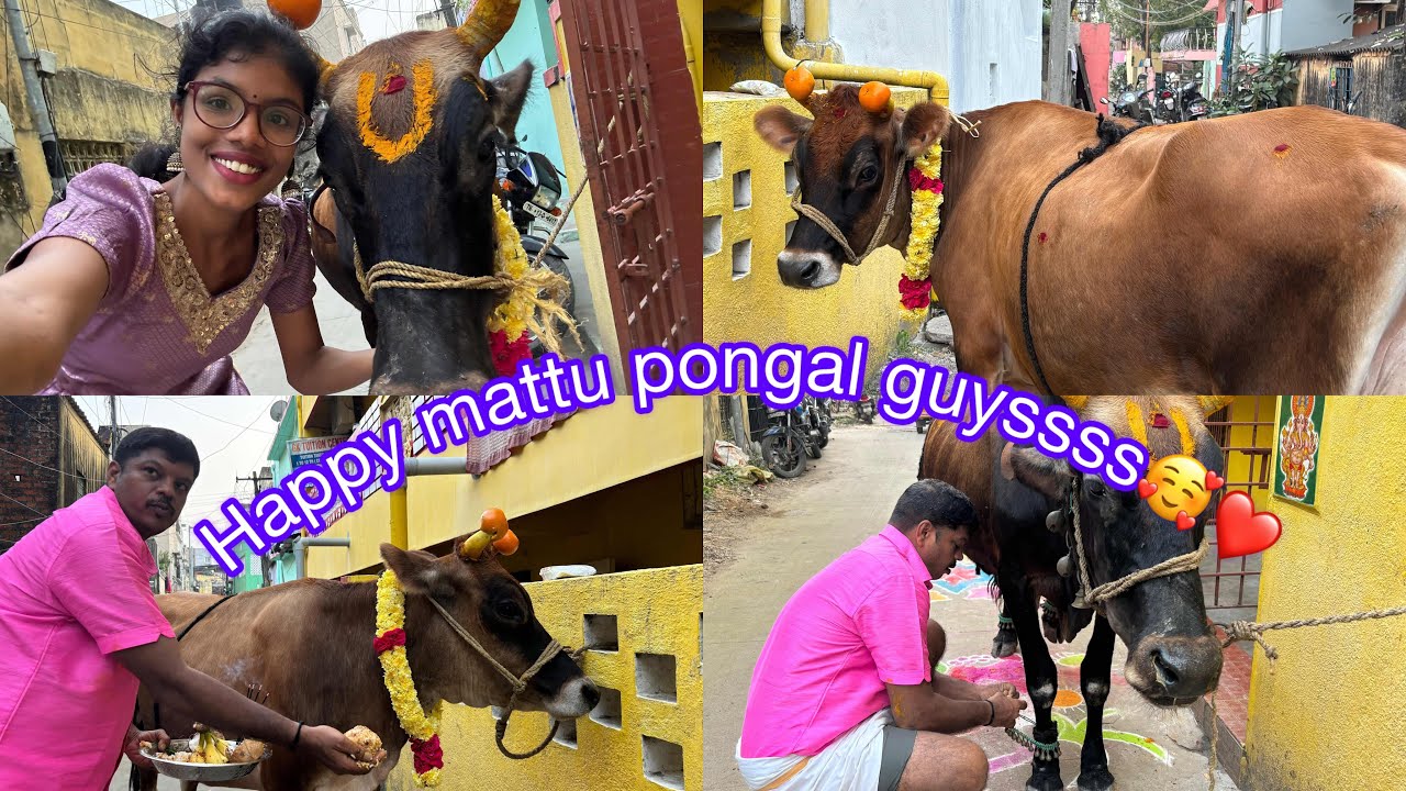 OUR LAST MATTU PONGAL😭😭💔💔🥹🥹