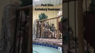 Hotel Waterpark?! @Park Vista