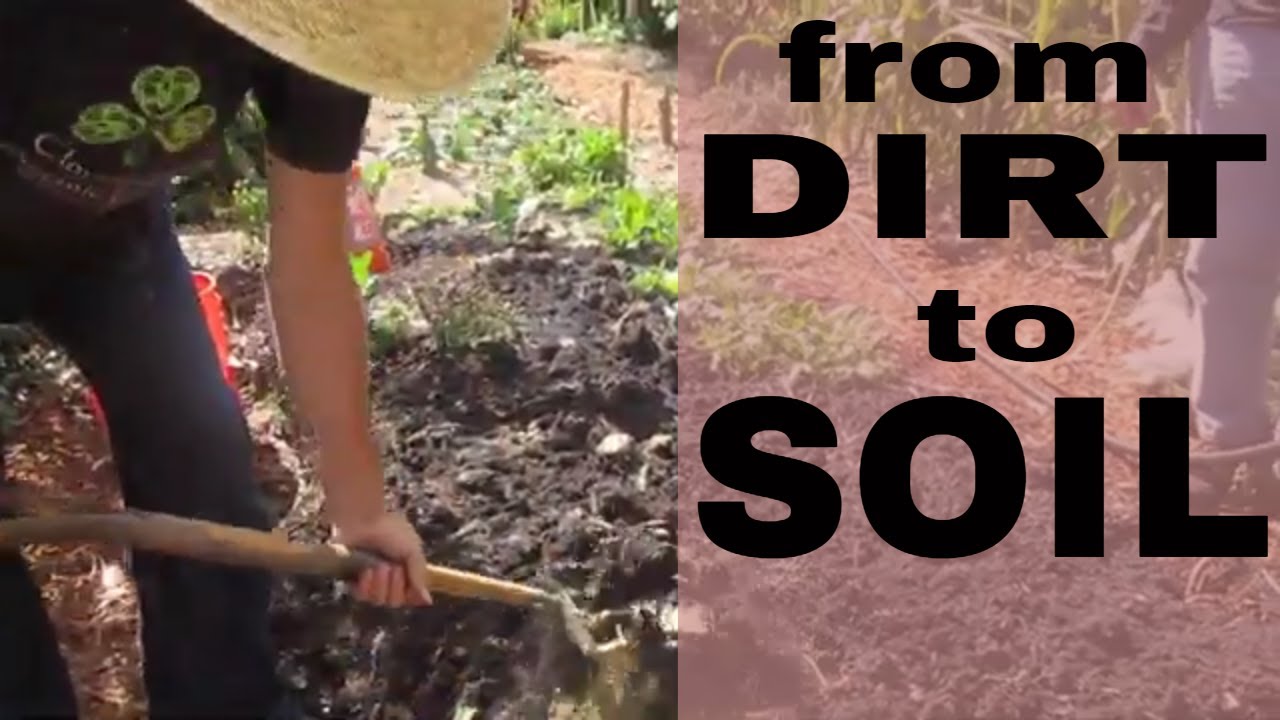 Dirt to Soil