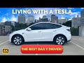 What It’s Like LIVING With a TESLA Model Y