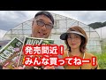 現代農業10月号発売間近！みんな買ってねー！