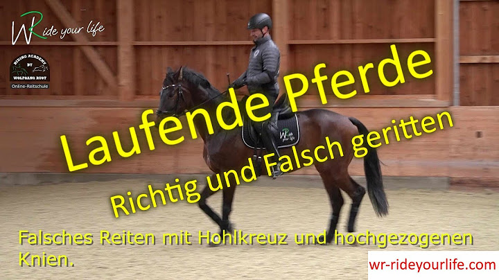 F153 5 Tipps zu "Hilfe- mein Pferd läuft davon und ich komme nicht zum Sitzen, Treiben und Reiten"!