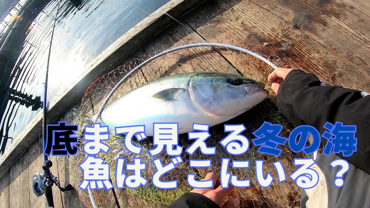 もう冬の海か...低活性の釣堀釣行【20250115辨屋】