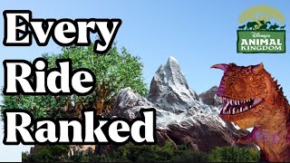 Every Animal Kingdom Ride RANKED