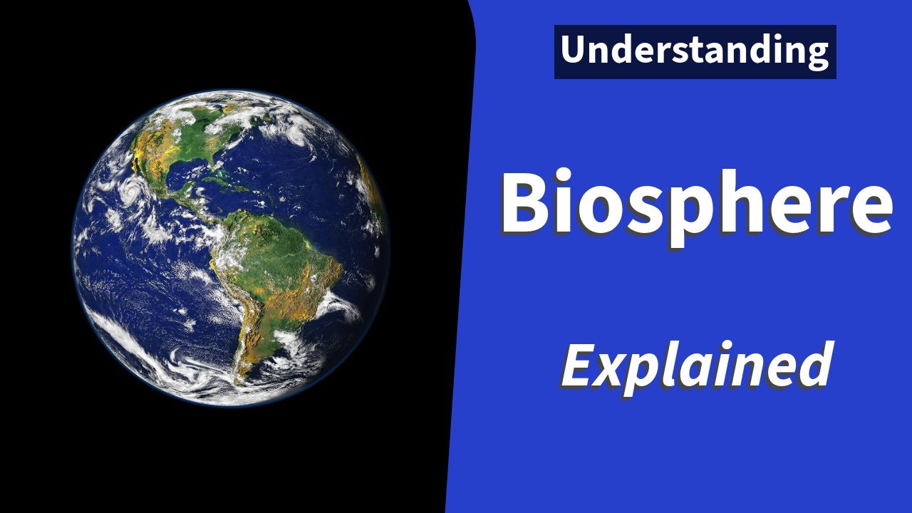 Biosphere Explained