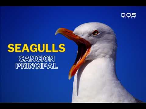SEAGULLS Canción Principal - Innova Schools