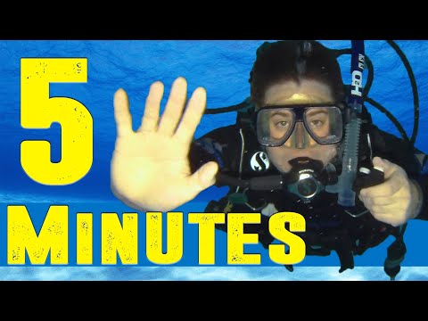 Video: Apa yang dimaksud dengan crash diving?