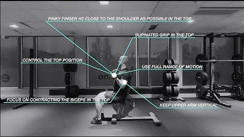 Seated Offset Grip Dumbbell Curl