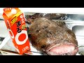 【あん肝】臭みが旨味にかわる⁉︎ 体感15kgのアンコウを解体して日本酒と逝きます！　　ふぅ。。