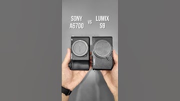 Sony A6700 vs Panasonic Lumix S9