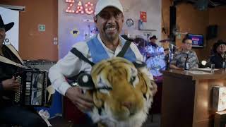 TIGRES DEL NORTE PALOMO CON ZAGAR