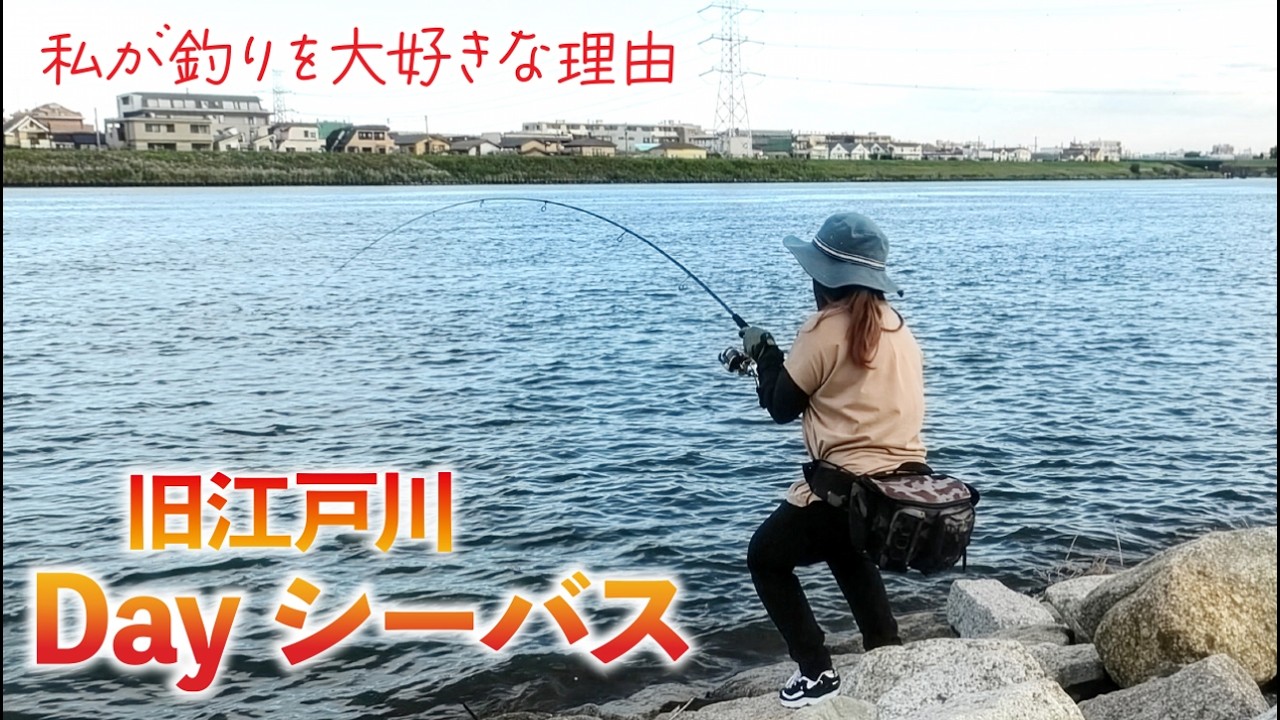 【釣り】旧江戸川  シーバスDayゲーム