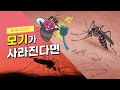 만약 모기가 사라진다면 어떻게 될까? (feat. 흡혈모기)