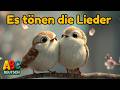 Es tönen die Lieder 🌷 | Frühlingslied für Kinder (Deutsch) mit Text &amp; Animation Mp3 Song