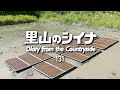 田舎暮らし 131:自給自足のお米の種まき / 終わらない田んぼ再生