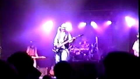 Vector - "Simple Experience"