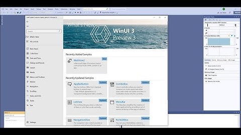WinUI3 Controls All Examples in Controls Gallery. UWP XAML Whats New