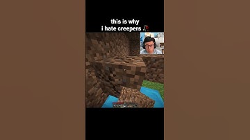Minecraft Creeper Moment