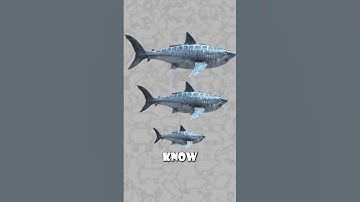 We Were Wrong About Megalodons 🦈📏