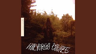 Video thumbnail of "The Holydrug Couple - Mountaintop"