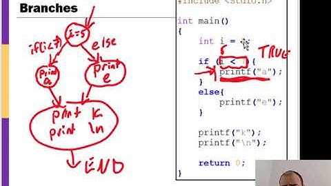 Branch Statements in the C Programming Language