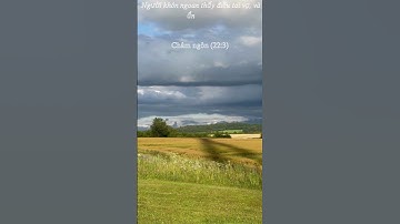 Người khôn ngoan thấy điều tai vạ, và ẩn mình #baihoccuocsong #binhan #cuocsong#hanhphuc #anvui