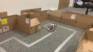 Intelligent control and cognitive systems