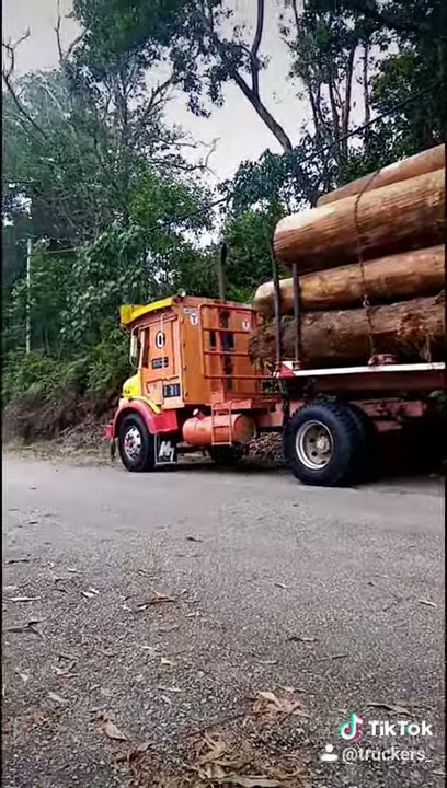 Tiktok lori balak terengganu