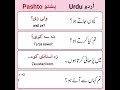      پشتو کے بنیادی فقرات