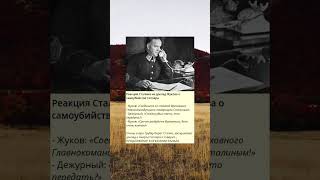 r_Реакция Сталина на доклад Жукова о самоубийстве Гитлера