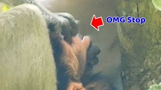 New update ! OMG..So pity poor newborn monkey just born | Why sister janet pinch mouth like this