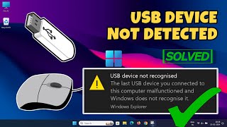 How To Fix USB Device Not Recognized in Windows 11/10 [2024 UPDATED]Solve USB Device Not Showing Up
