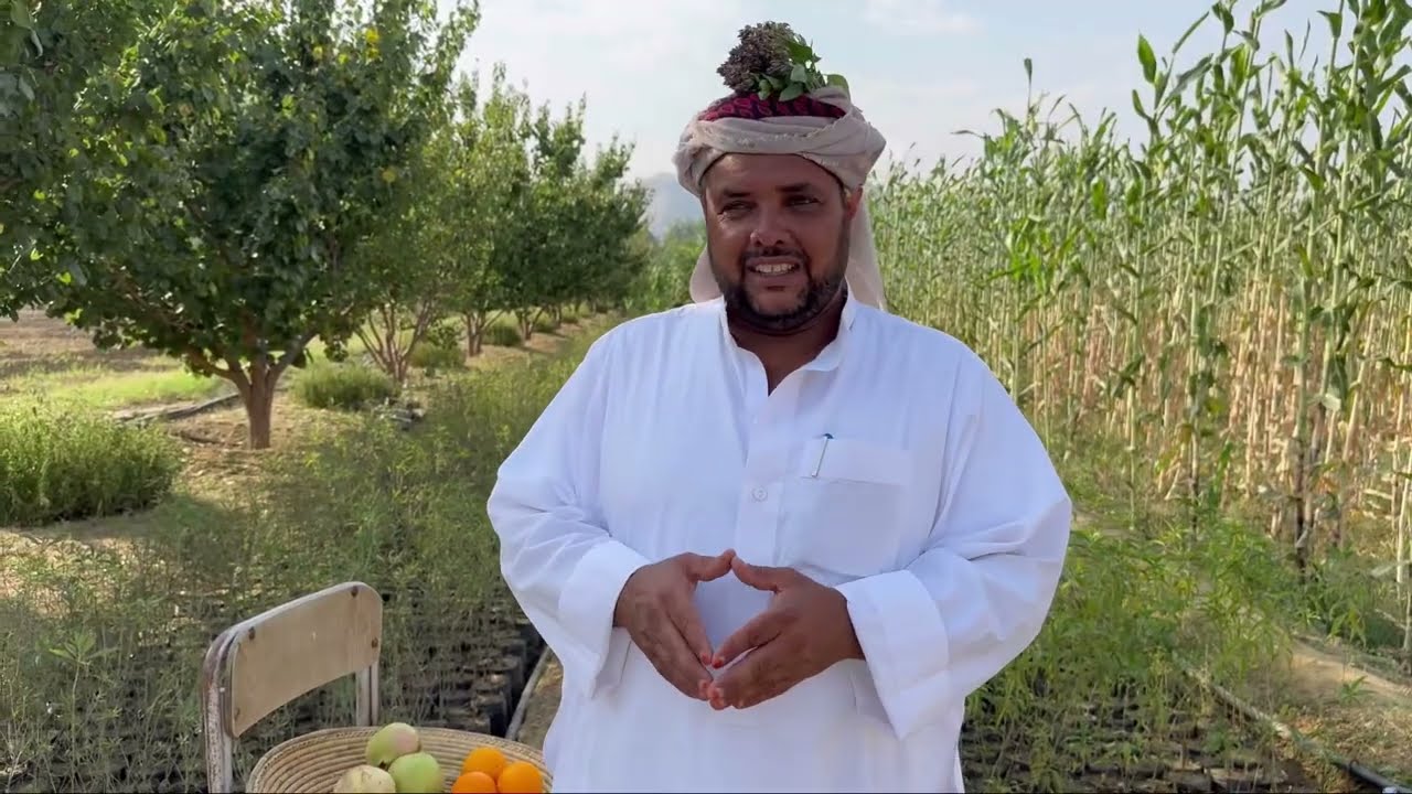 انتاج الحنطة والشعير والذرة الرفيعة والحبش في موسم واحد