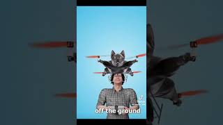 a real story btw #memesvideo #funnyshorts #funnyvideo #memesdaily #cat #catvideos #catshorts